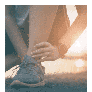 Articulations et muscles