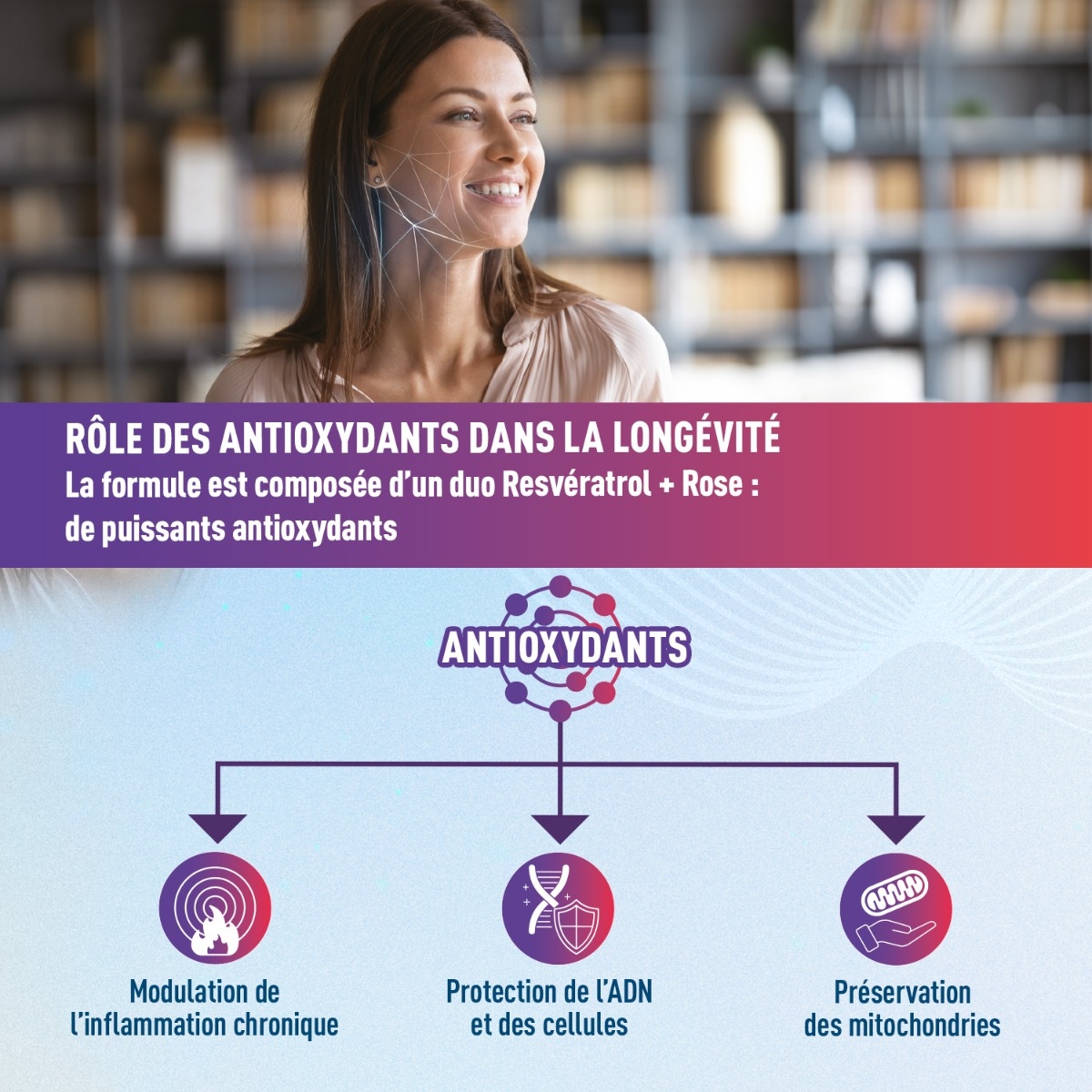 Role des antioxydantss