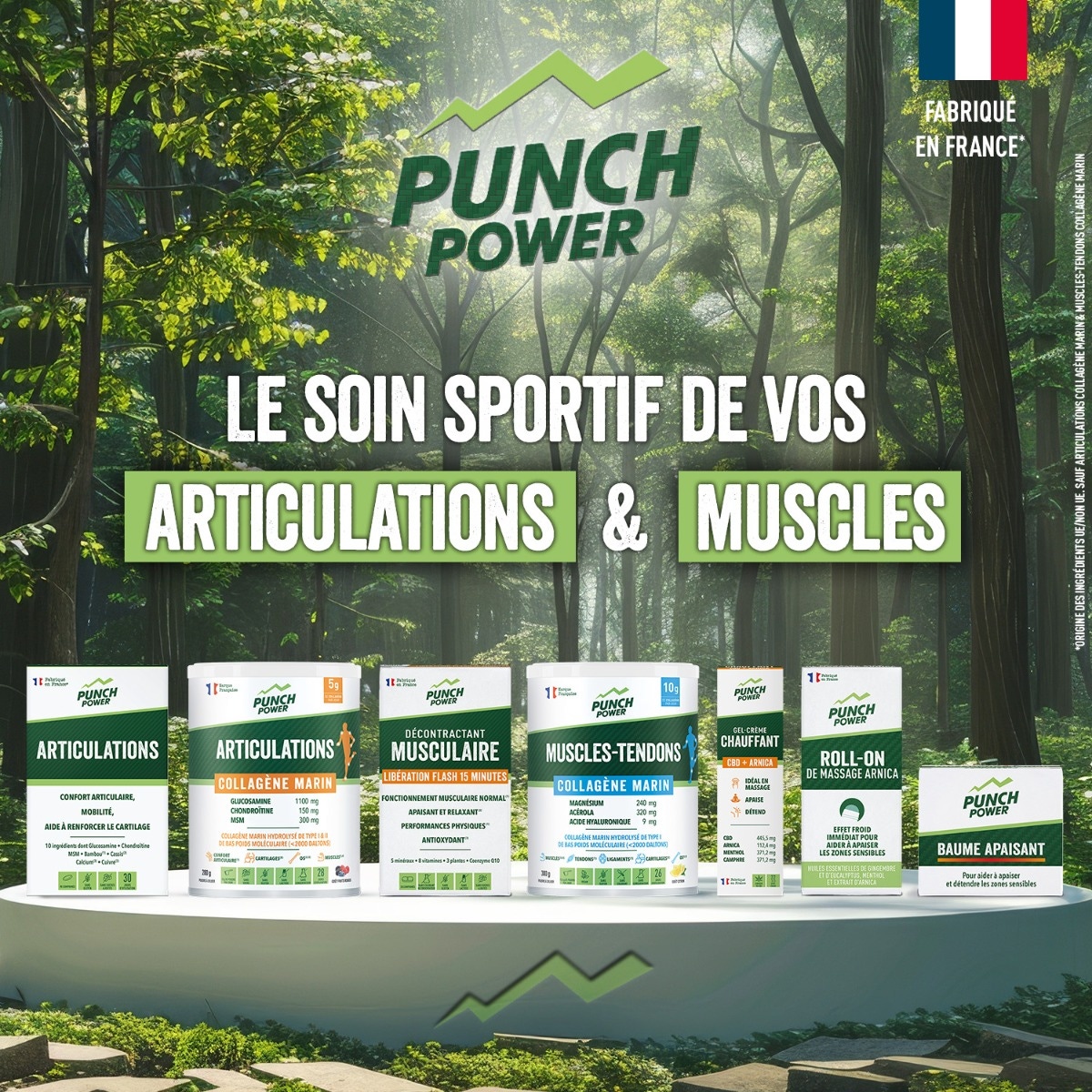 Gamme articulations et muscles punch power