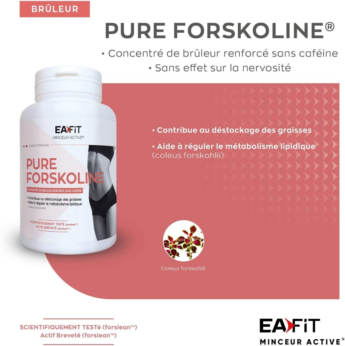 EAFIT Pure Forskoline concentré de brûleur renforcé