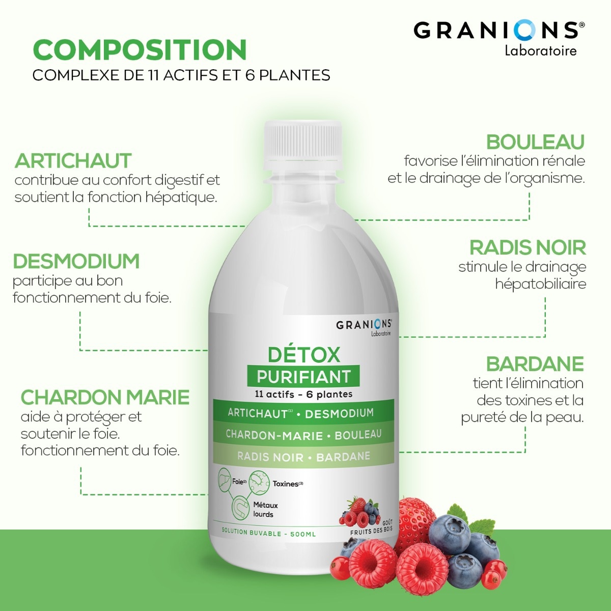 Boisson Détox Purifiant Granions composition