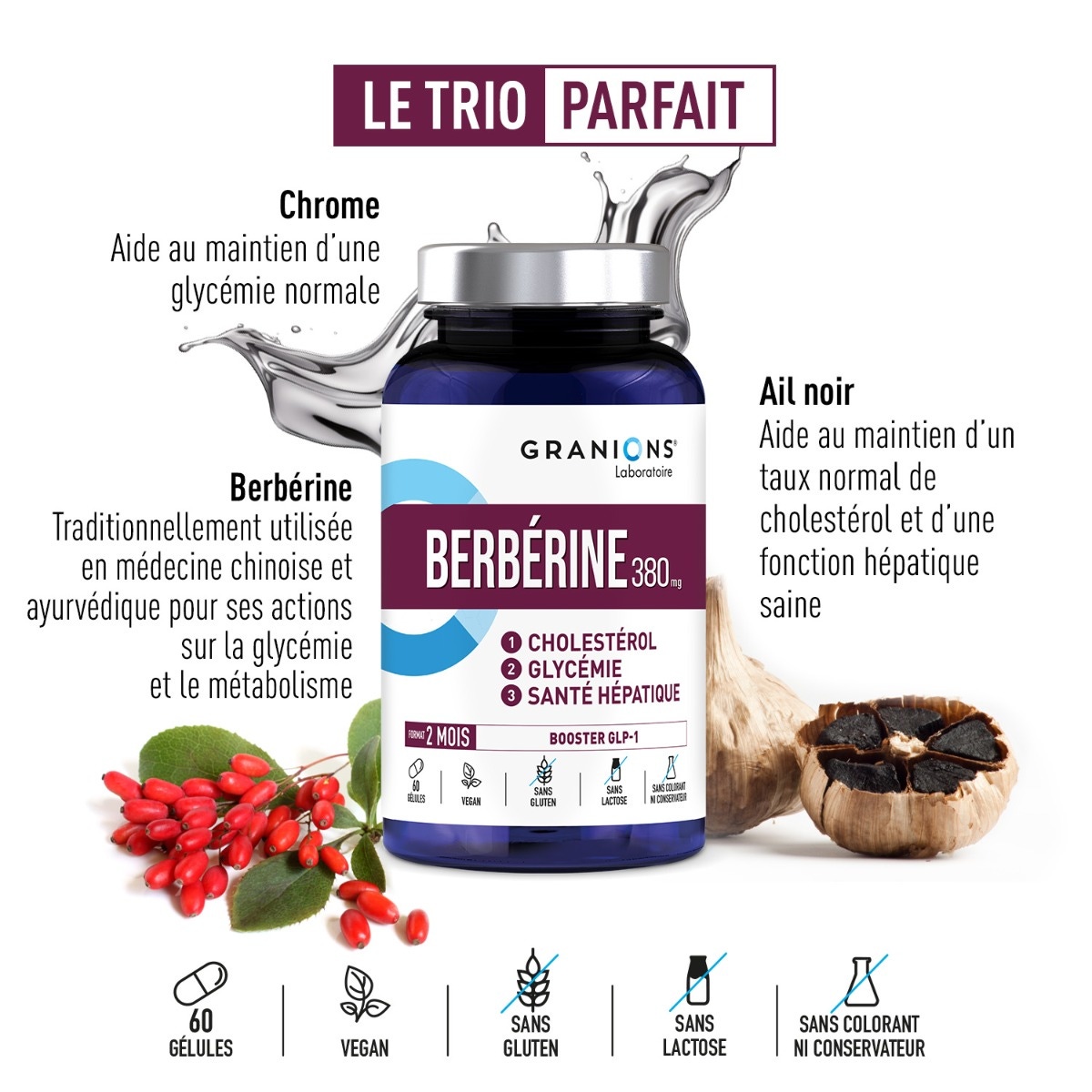 Granions Berbérine 1200 µg