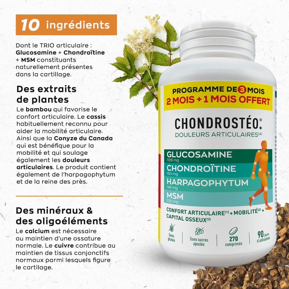 Chondrostéo+ 270 comprimés