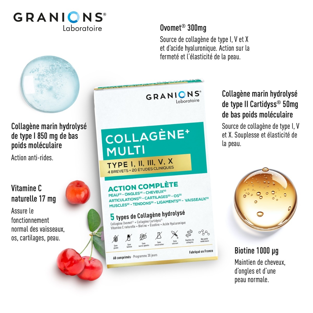 Collagène+ Multi type I, II, III, V, X actifs