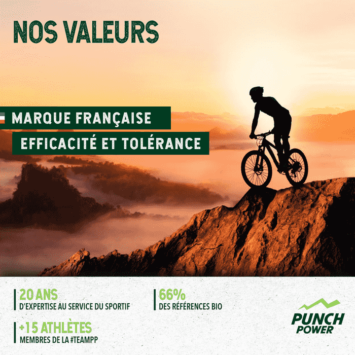 Valeurs Punch Power : marque française, efficacité et tolérance