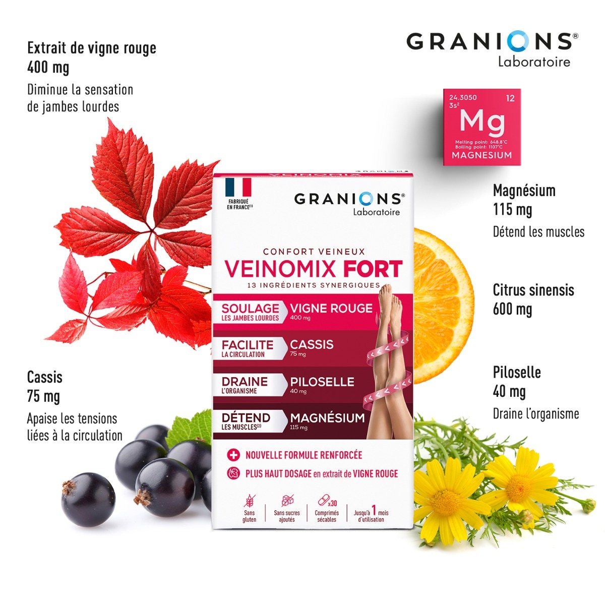 Granions - VEINOMIX FORT 